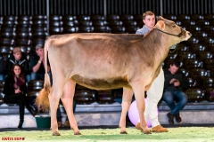 DSC08415-2 DSC08415-2