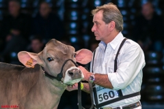 DSC08418-2 DSC08418-2