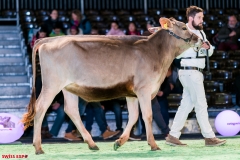 DSC08423-2 DSC08423-2