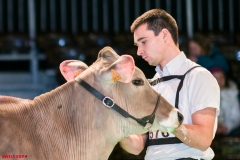 DSC08426-2-2 DSC08426-2-2