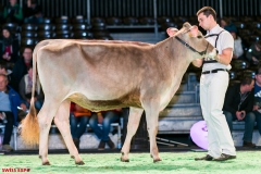 DSC08426-2 DSC08426-2