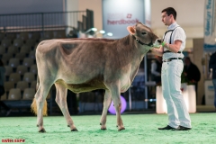 DSC08432-2 DSC08432-2