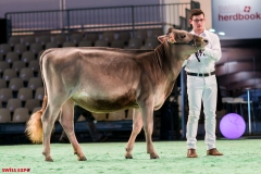 DSC08433-2 DSC08433-2