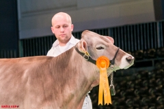 DSC08434-2 DSC08434-2