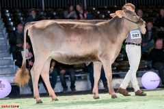 DSC08438-2 DSC08438-2