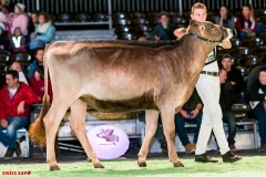 DSC08441-2 DSC08441-2