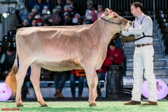 DSC08442-2 DSC08442-2