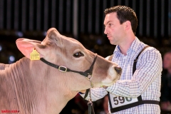 DSC08446-2 DSC08446-2