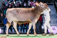 DSC08447-2 DSC08447-2