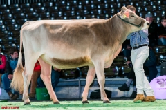 DSC08449-2 DSC08449-2