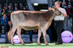 DSC08453-2 DSC08453-2