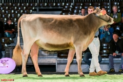 DSC08454-2 DSC08454-2