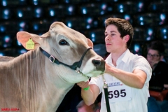 DSC08455-2-2 DSC08455-2-2