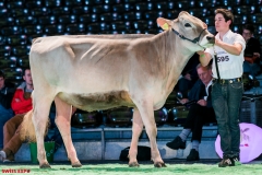 DSC08455-2 DSC08455-2