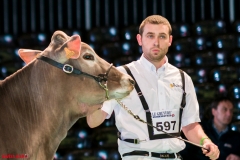 DSC08457-2-2 DSC08457-2-2