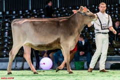 DSC08457-2 DSC08457-2