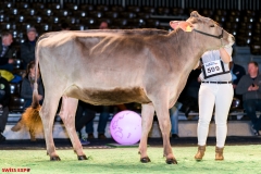 DSC08460-2 DSC08460-2