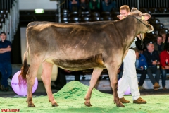 DSC08465-2 DSC08465-2