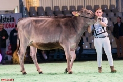 DSC08467-2 DSC08467-2