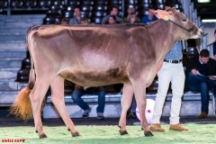 DSC08469-2 DSC08469-2