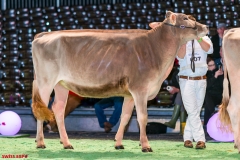 DSC08473-2 DSC08473-2