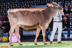 DSC08475-2 DSC08475-2