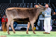 DSC08477-2 DSC08477-2