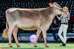 DSC08480-2 DSC08480-2