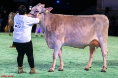 DSC08481-2 DSC08481-2