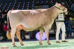 DSC08485-2 DSC08485-2