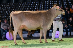 DSC08491-2 DSC08491-2