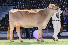 DSC08498-2 DSC08498-2