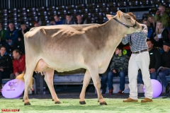 DSC08534-2 DSC08534-2