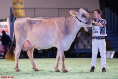 DSC08556-2 DSC08556-2