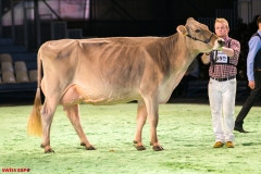 DSC08569-2 DSC08569-2