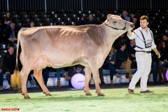 DSC08575-2 DSC08575-2