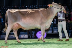 DSC08579-2 DSC08579-2