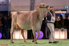 DSC08580-2 DSC08580-2