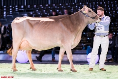 DSC08586-2 DSC08586-2