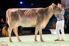 DSC08641-2 DSC08641-2