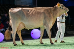 DSC08643-2 DSC08643-2