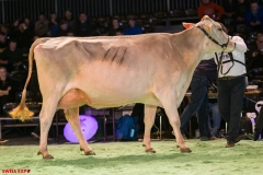 DSC08646-2 DSC08646-2