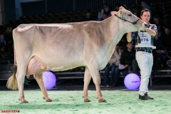 DSC08649-2 DSC08649-2