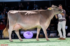 DSC08685-2 DSC08685-2