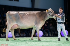 DSC08692-2 DSC08692-2