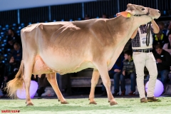 DSC08695-2 DSC08695-2