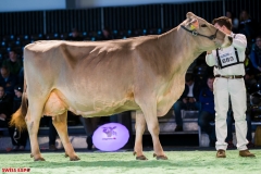 DSC08697-2 DSC08697-2