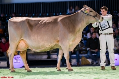 DSC08699-2 DSC08699-2