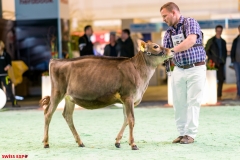 DSC00879-2 DSC00879-2