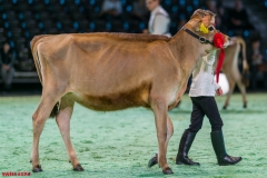 DSC00910-2 DSC00910-2